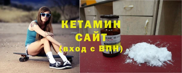 прущие грибы Сясьстрой