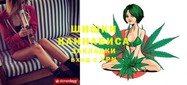 ECSTASY Белокуриха